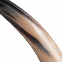 STEAD NATURAL HORN SCULTPURE 