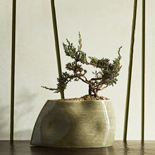 HAZEL CERAMIC CENTERPIECE 