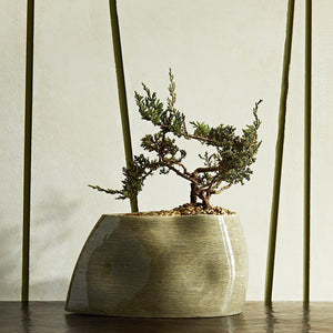 HAZEL CERAMIC CENTERPIECE 